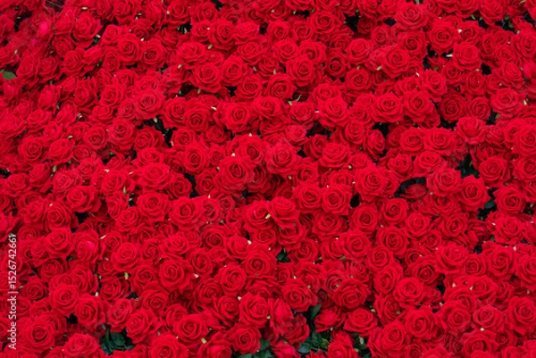 Obraz artificial red rose background ,natural texture