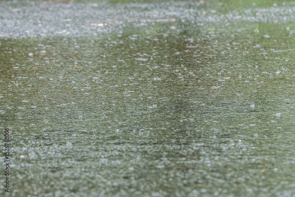 Fototapeta 群馬県みどり市で撮影した雨粒が跳ねて波紋を描く水たまりのリフレクション　梅雨の湿度と静けさを感じる背景テクスチャ素材
