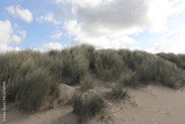 Obraz sand dunes and clouds