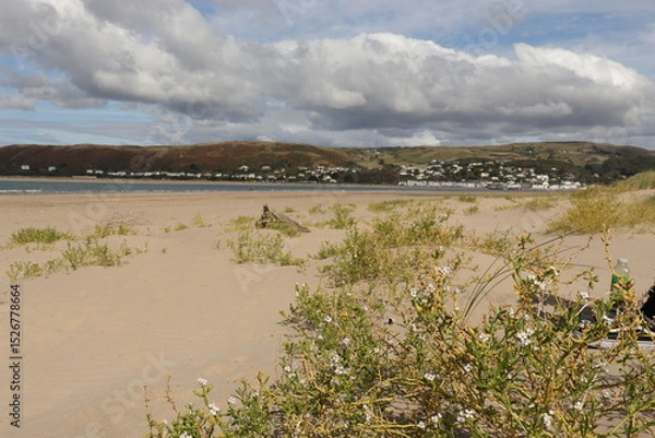 Obraz lake and grass