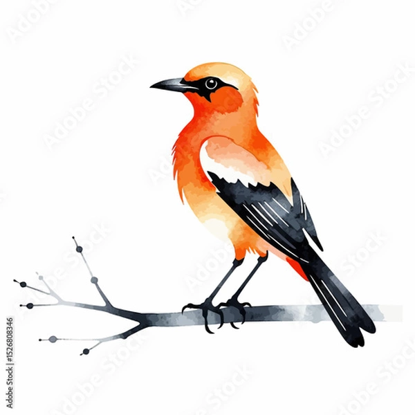 Fototapeta Watercolor Orange Bird Painting-Elegant Bird on Branch Illustration-Artistic Bird Portrait-Vibrant Bird Artwork-Perfect for Nature Lovers