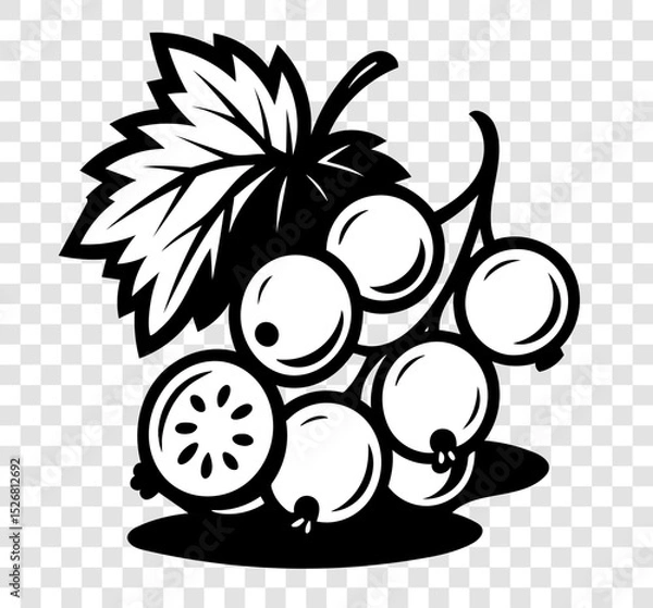 Obraz A black and white drawing of a bunch of white currant berries with a leaf on top.