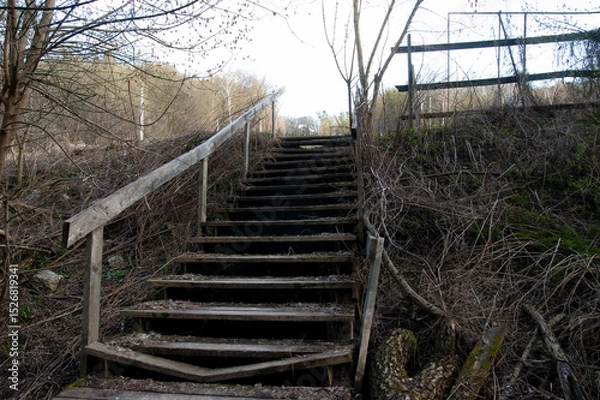 Fototapeta An old wooden staircase seen from below, partially collapsed and weathered with age. Surrounding the base are fallen branches and tree debris. 