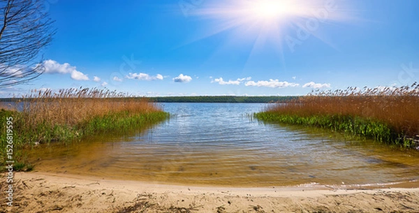 Fototapeta Clear summer day on lake with reeds and blue sky.