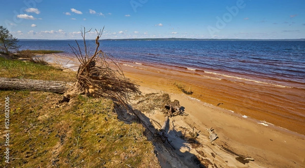 Fototapeta Sunny lake shore with waves and fallen tree