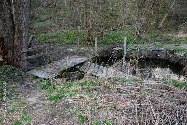 Fototapeta A small creek runs through a ravine in a forest. An old broken wooden footbridge rests on a concrete ring in the stream. Dry thorny bushes and debris on the muddy banks.