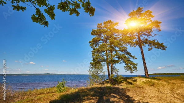 Fototapeta Forest lake view with pine trees and clear blue sky