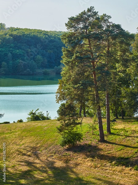 Fototapeta Scenic Lakeside View with Rolling Hills and Trees