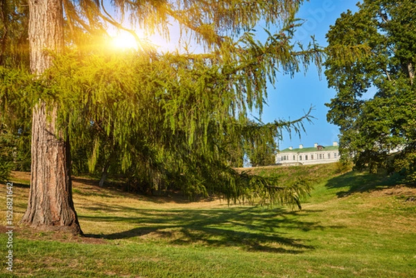 Fototapeta Larch Tree Framing Distant Manor House