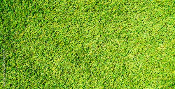 Obraz Green grass of a golf course or soccer field as a natural texture background for design. Banner with selective focus.
