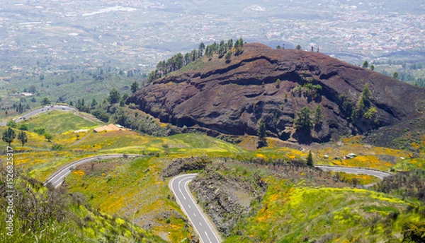 Obraz Stunning view from the hills of Arafo, Tenerife,Canary Islands,Spain with a winding mountain road, coastal backdrop and California poppies or Eschscholzia californica flowers in the green grass.