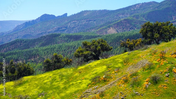 Obraz Stunning view from the hills of Arafo, Tenerife,Canary Islands,Spain with a mountains and California poppies or Eschscholzia californica flowers in the green grass.