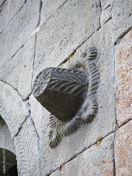 Fototapeta Ancient leaf fossil imprinted on stone ceiling showing intricate details