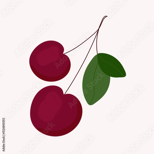 Obraz Cherry berry isolated object on white background. Print or coupon for printing on fabric and paper. Vector illustration