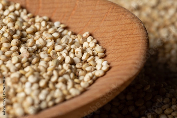Fototapeta Macrophotography of raw quinoa grains
