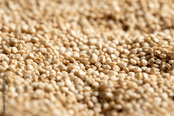 Fototapeta Macrophotography of raw quinoa grains