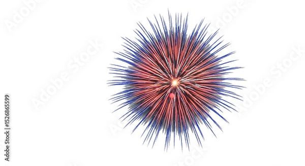 Fototapeta Firework display celebration pyrotechnics burst light show event festive night sky red blue firework isolated on Transparent background