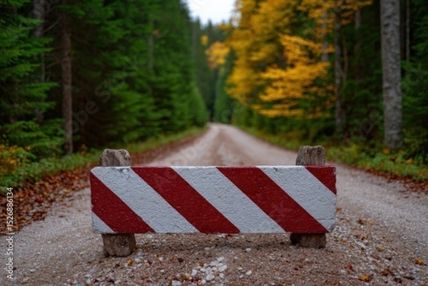Fototapeta Road blocked by striped barrier on forest path. Restricted access, obstacle, countryside, nature, safety, caution, blocked path.