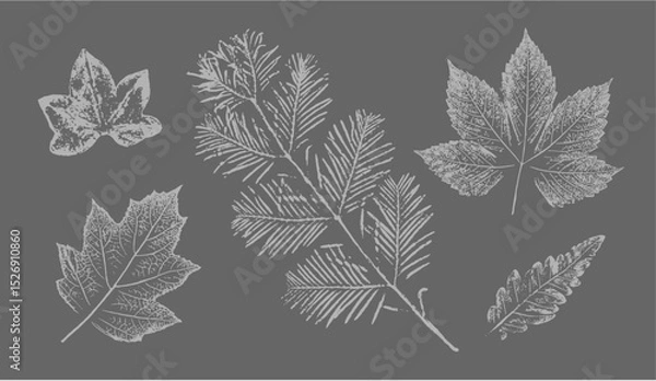 Fototapeta Fern botanical illustration sketch drawing on neutral gray for decorative print or natural background. Floral motif for card or invitation design.