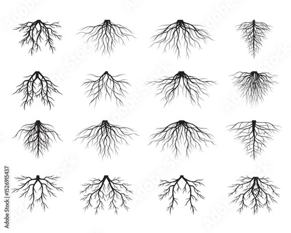 Fototapeta Set of Black Tree Roots. Outline Illustration and nature image.