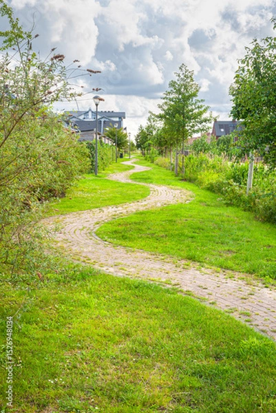 Obraz Scenic landscaped winding footpath in a grassfield