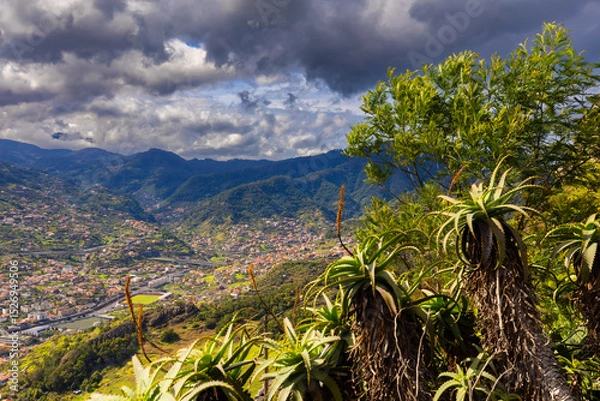 Fototapeta Malowniczy widok z lotu ptaka na nadmorskie miasteczko Machico i zatokę Miradouro do Pico do Facho na Maderze