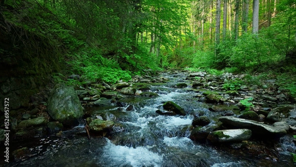 Fototapeta Beautiful Sunrise In Sunny Spring Forest with Stream . Sunlight Sunbeams Through Woods In Forest Landscape. Panorama Panoramic View