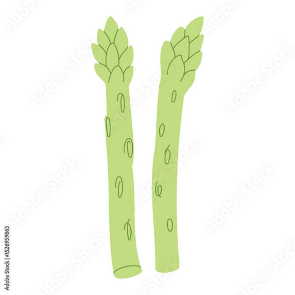 Fototapeta Trendy Hand Drawn asparagus vegetable Illustration isolated on white background. Modern Abstract Mediterranean Aesthetic. Vector Art for Home Decor, Dining Spaces
