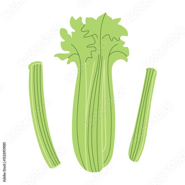 Fototapeta Trendy Hand Drawn celery vegetable Illustration isolated on white background. Modern Abstract Mediterranean Aesthetic. Vector Art for Home Decor, Dining Spaces
