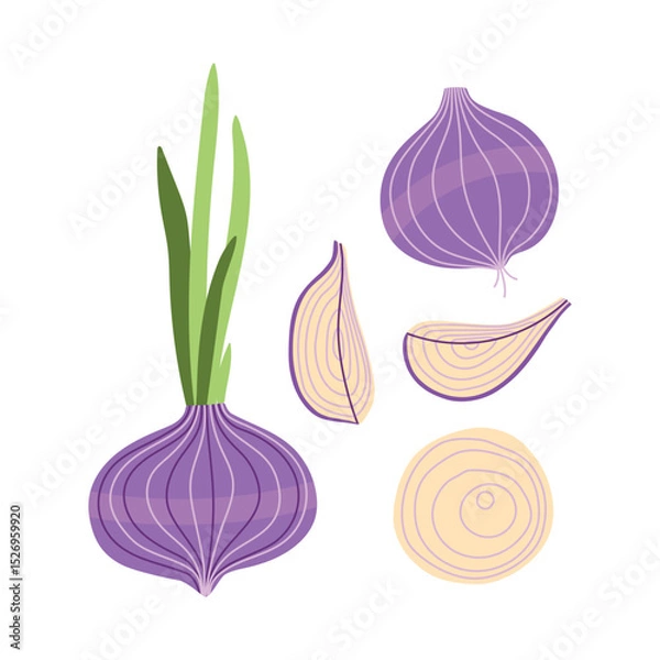 Fototapeta Trendy Hand Drawn onion vegetable Illustration isolated on white background. Modern Abstract Mediterranean Aesthetic. Vector Art for Home Decor, Dining Spaces
