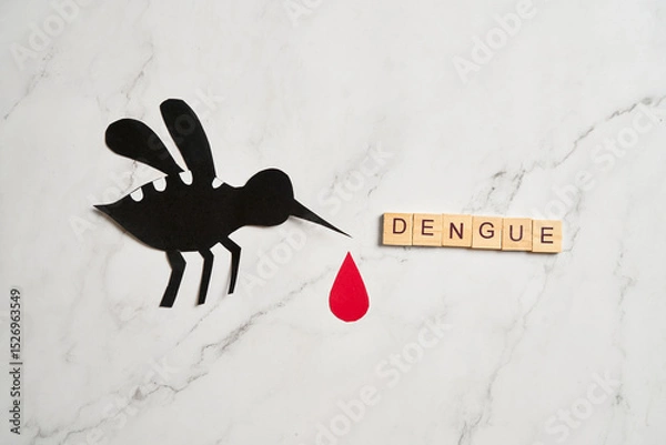Fototapeta No mosquito, bite for World dengue day with Stop mosquito sign for prevention of virus