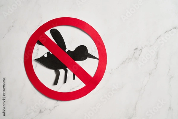Fototapeta No mosquito, bite for World dengue day with Stop mosquito sign for prevention of virus