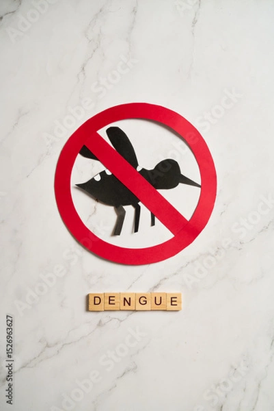 Fototapeta Awareness image for World Dengue Day with mosquito control message