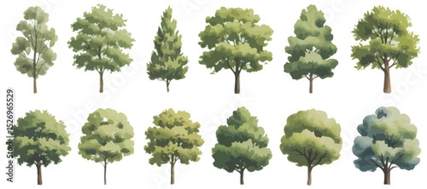 Fototapeta Collection of Various Tree Illustrations with Green Foliage Isolated on White Background Perfect for Landscape Design Architectural Renderings and Nature Themed Projects