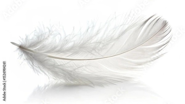 Fototapeta A single, delicate white feather floats gracefully against a pristine white background, casting a subtle shadow