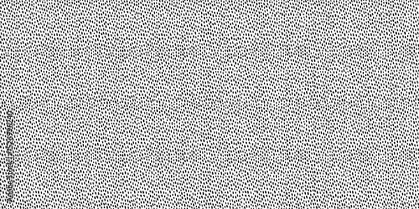Fototapeta Polka dot horizontal seamless pattern in black and white. Hand drawn vector texture with dense irregular dots and soft grainy flow. Great for abstract print, modern fabric, or minimalist wallpaper.