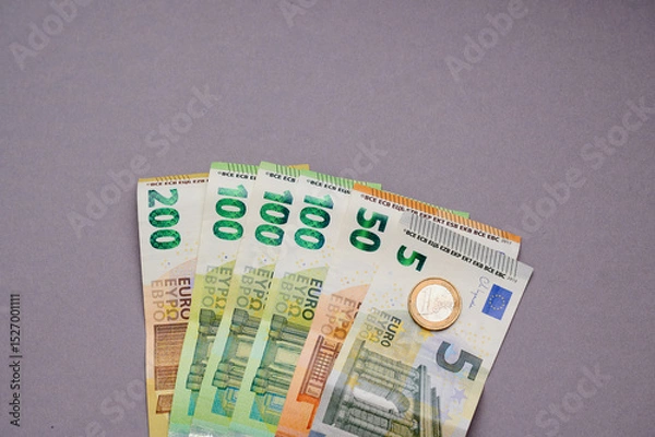 Fototapeta Various denominations of euro banknotes displayed on a gray surface showcasing the amount of 556 Euro which can be earned as minijob in Germany
