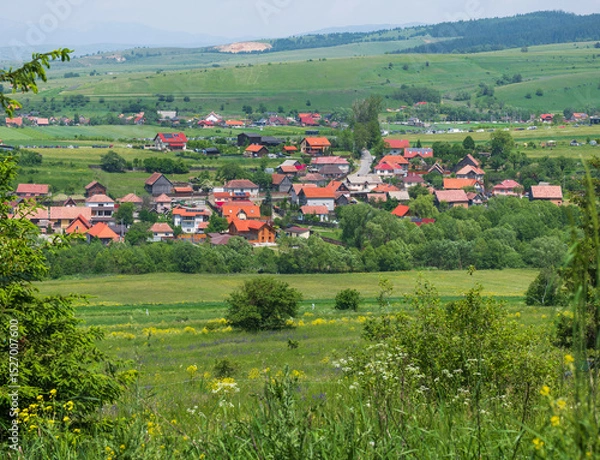 Obraz rural landscape in the summer