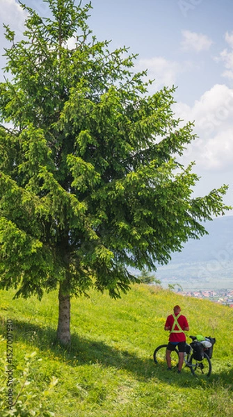 Obraz landscape with a large pine tree and a biker