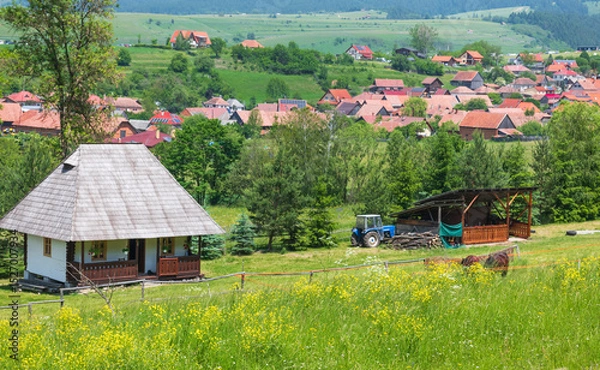 Obraz Sumuleu, Romania: old village house with horses in the yard
