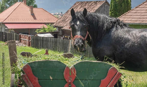 Obraz horse and carriage