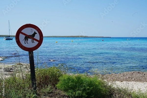 Obraz No dogs allowed on beach