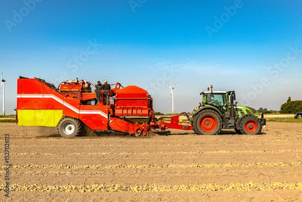 Fototapeta Tractor with potato harvester in the field - 4000