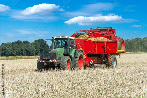 Fototapeta Tractor with potato harvester in the field - 0056