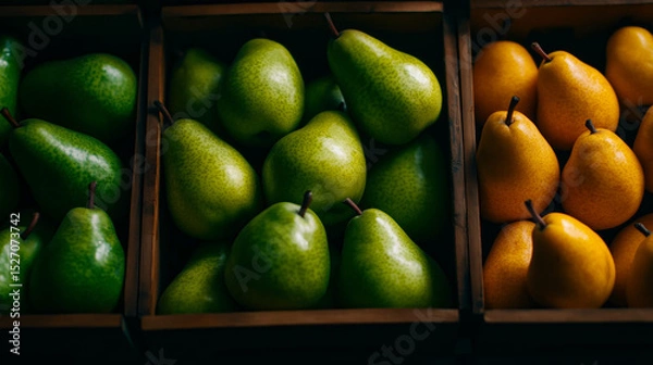 Fototapeta Yellow and green pears sorted in wooden compartments