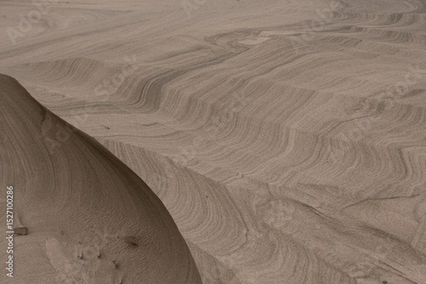 Fototapeta Lines in the sand on a pacific northwest beach
