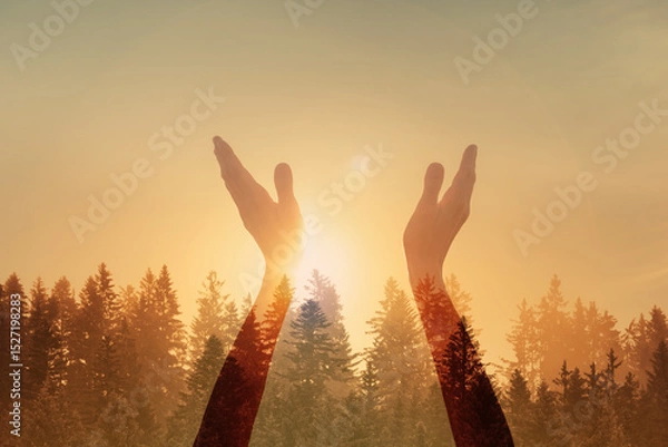 Fototapeta Worshiping hands up to the bright golden sunlight shinning through the trees 	