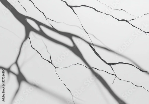 Obraz Abstract Shadow Play on Veined Surface