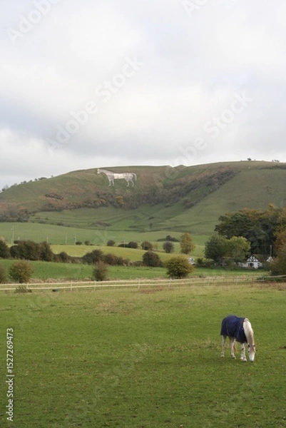 Fototapeta Distant view of the White Horse geoglyph in Westbury - Vue éloigné du géoglyphe du Cheval blanc de Westbury