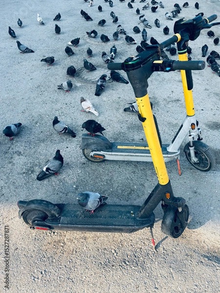 Obraz scooter on a background of pigeons, summer urban landscape